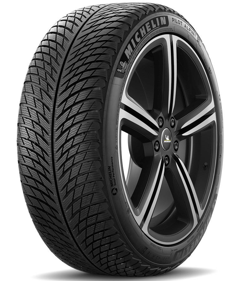 Michelin Pilot Alpin 5 295/30 R21 102V (NA0)(XL)