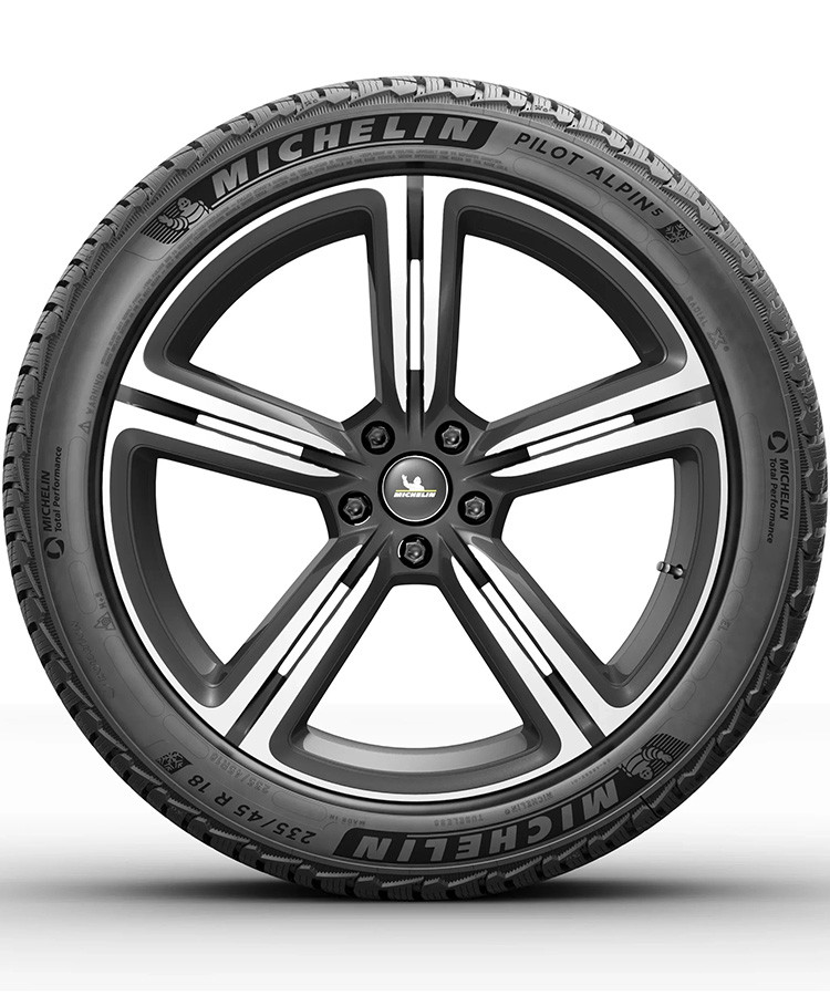 Michelin Pilot Alpin 5 295/30 R21 102V (NA0)(XL) заказать